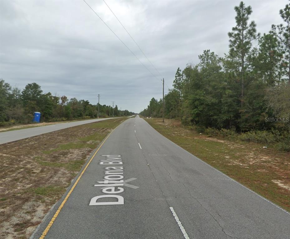 A paved road stretches through a wooded area with a blue portable toilet on the left — DELTONA BOULEVARD, CHIPLEY, FL