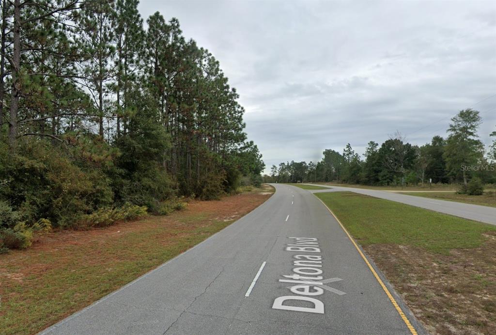 A paved road curves through a wooded area under a cloudy sky — DELTONA BOULEVARD, CHIPLEY, FL