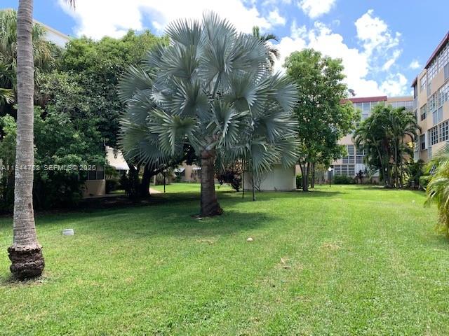 A large Bismarck palm tree stands in the center of a grassy courtyard — 1333 E Hallandale Beach Blvd # 131, Hallandale Beach FL 33009, HALLANDALE BEACH, FL