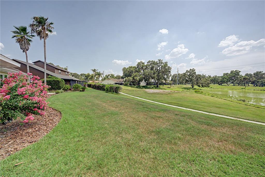 A grassy backyard features a paved path, a pond, and a house with palm trees — 6207 HUNTINGTON DRIVE, ZEPHYRHILLS, FL