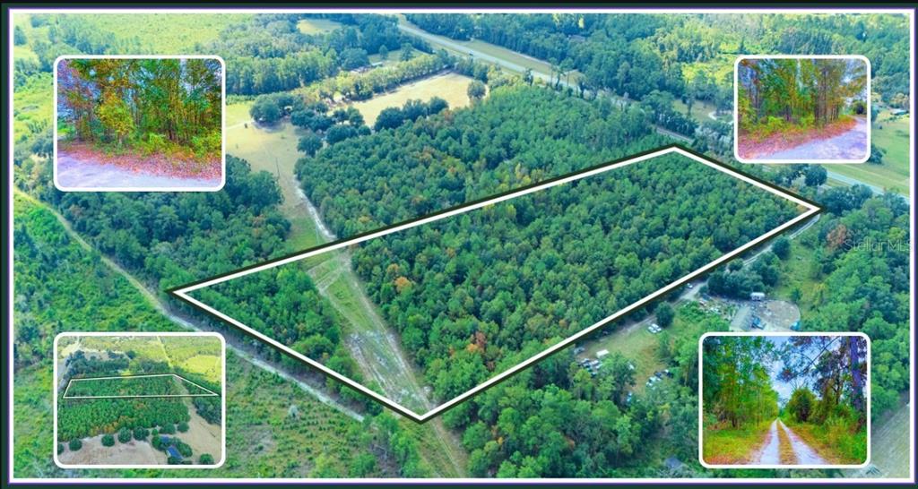 TBD Lot 35 SE US 41 HIGHWAY, WHITE SPRINGS, FL — photo 2 of 7