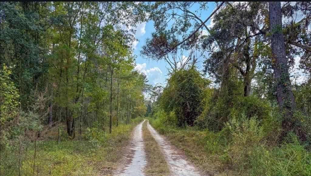 TBD Lot 35 SE US 41 HIGHWAY, WHITE SPRINGS, FL — photo 4 of 7