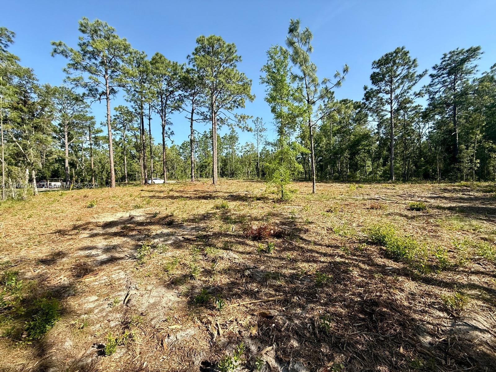 0 NW 157th Ave, Williston FL 32696
