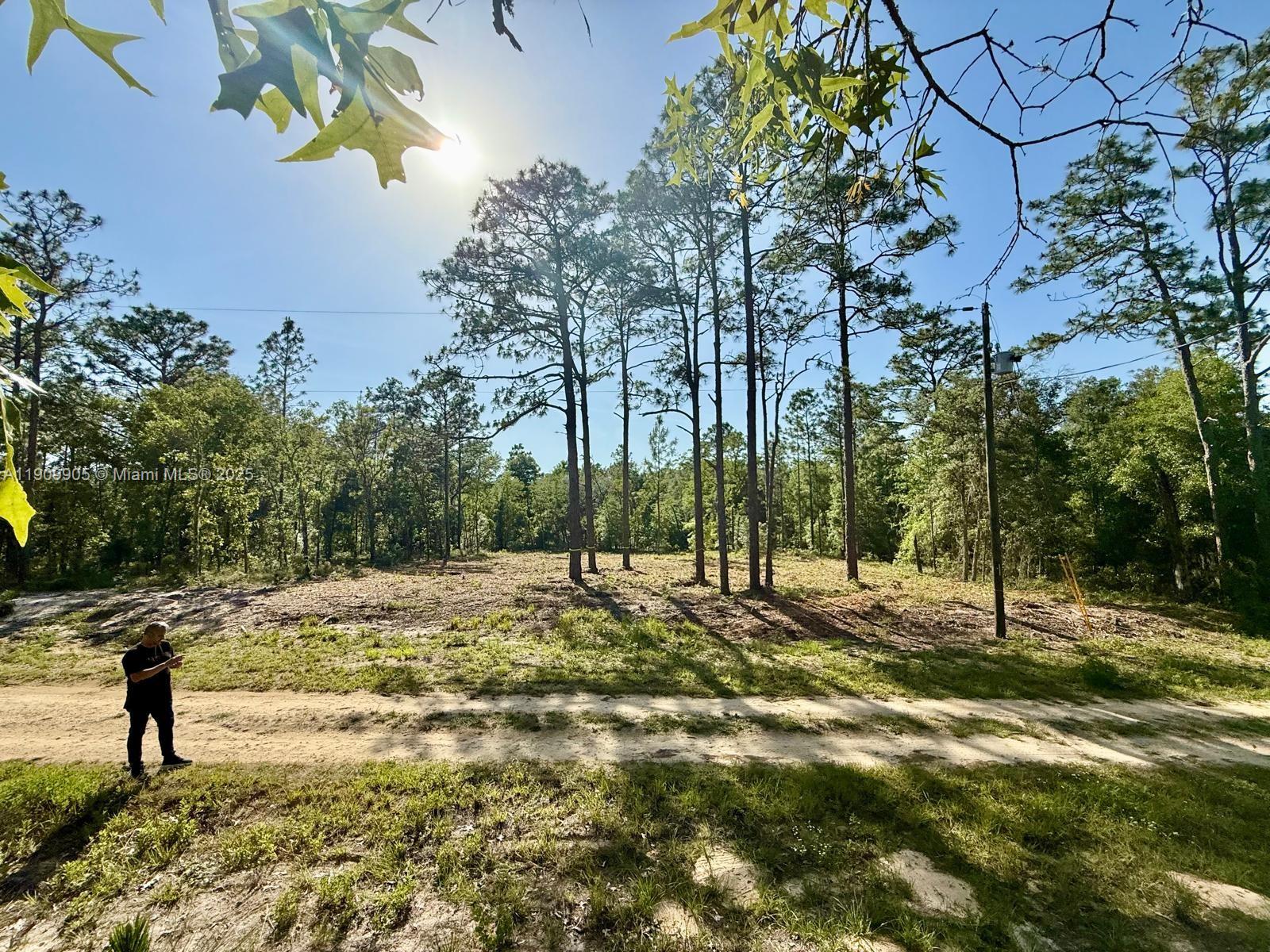 A person stands on a dirt path facing a cleared, wooded residential lot — 0 NW 157th Ave, Williston FL 32696, WILLISTON, FL