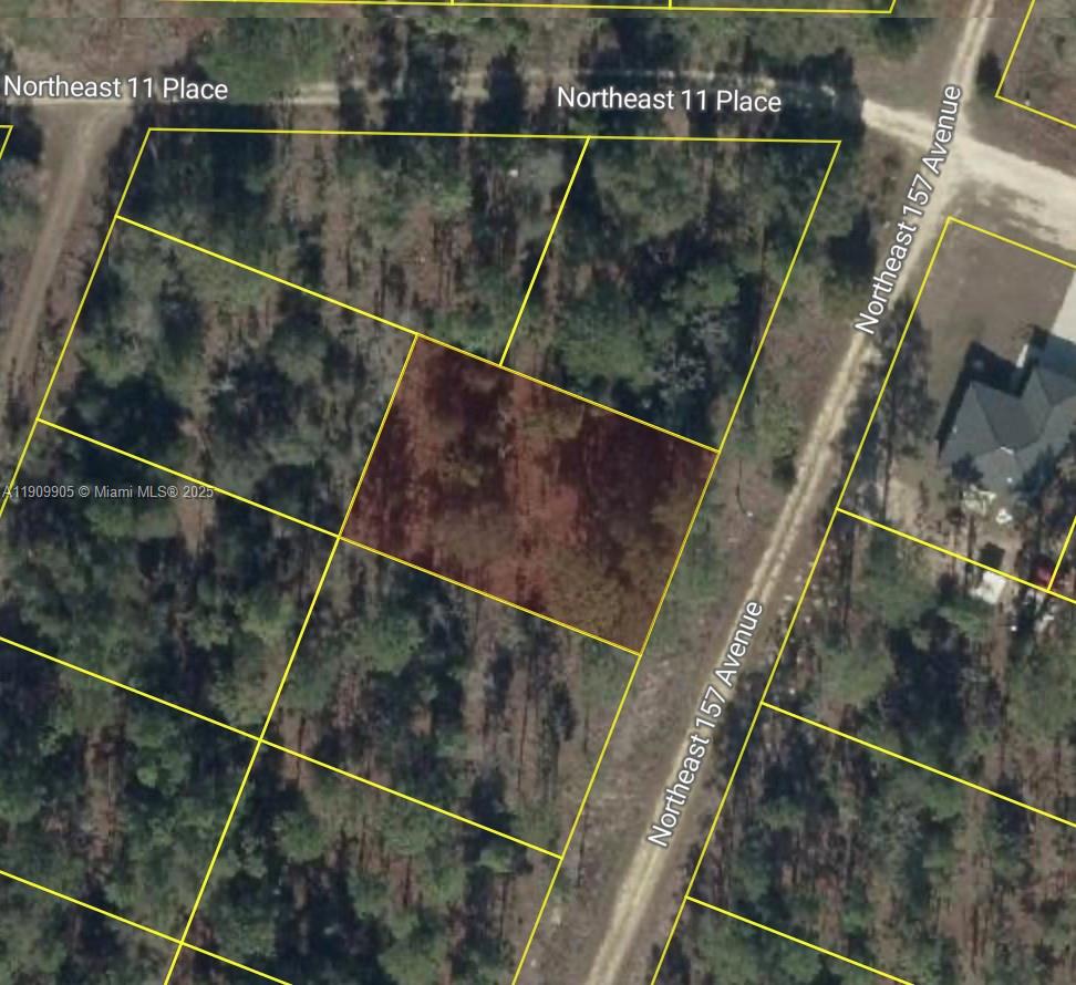 This is an aerial map showing a vacant, wooded residential lot outlined in yellow — 0 NW 157th Ave, Williston FL 32696, WILLISTON, FL