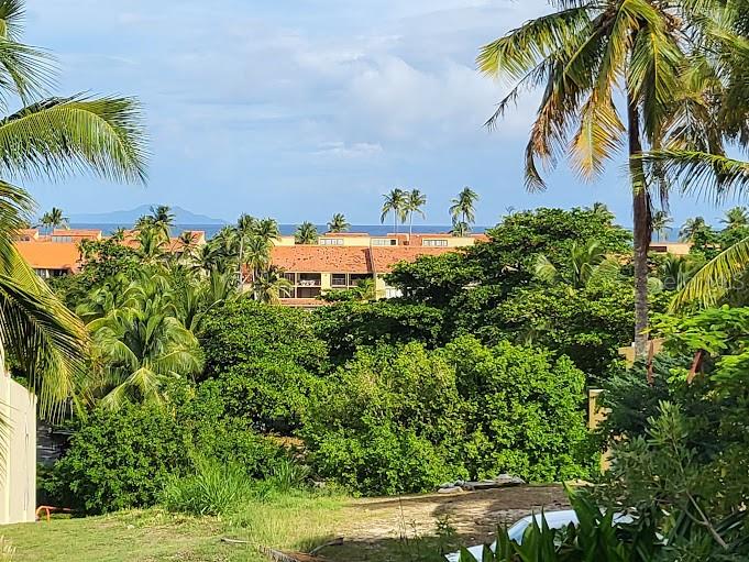 An elevated view of a tropical resort complex with palm trees and the ocean beyond — Monte Carlo SE MONTE CARLO VIEWS UNIT 228-229, HUMACAO, PR