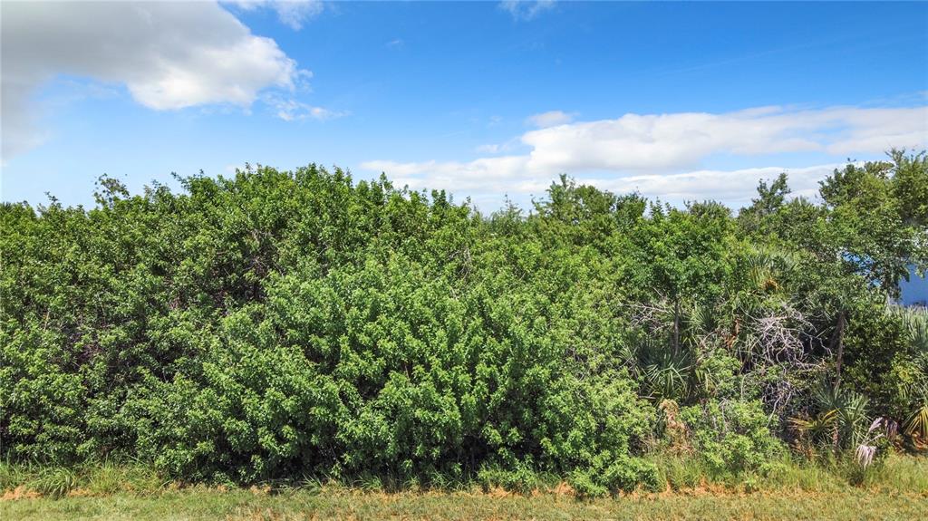 A dense thicket of green trees and shrubs under a bright blue sky — 15419 MARGO CIRCLE, PORT CHARLOTTE, FL