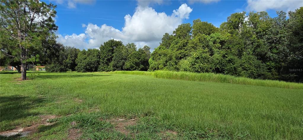 BELLERIVE DRIVE, CLERMONT, FL — photo 2 of 5