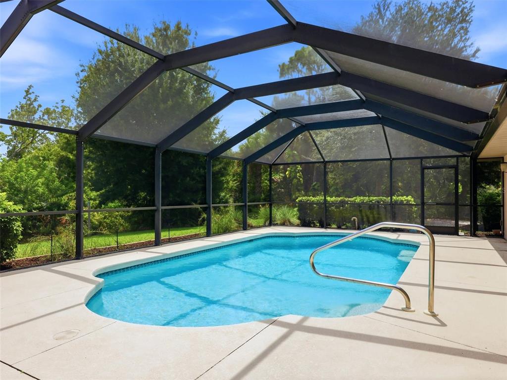 A swimming pool with a metal handrail is enclosed by a screened-in lanai — 162 MEDALIST ROAD, ROTONDA WEST, FL