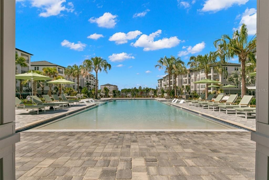 A rectangular swimming pool with a tanning ledge is surrounded by lounge chairs and palm trees — 1310 RIDGEVIEW CIRCLE UNIT B1, DAVENPORT, FL