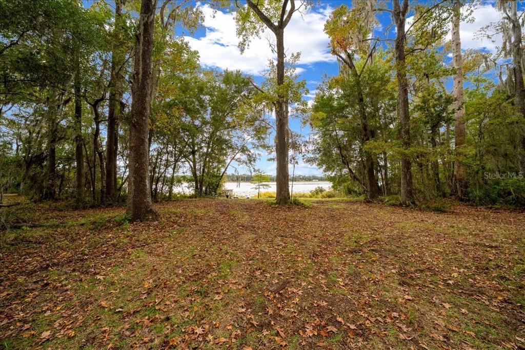 A grassy, leaf-covered clearing leads to a view of a lake through tall trees — 7173 W R THOMAS ROAD, KEYSTONE HEIGHTS, FL