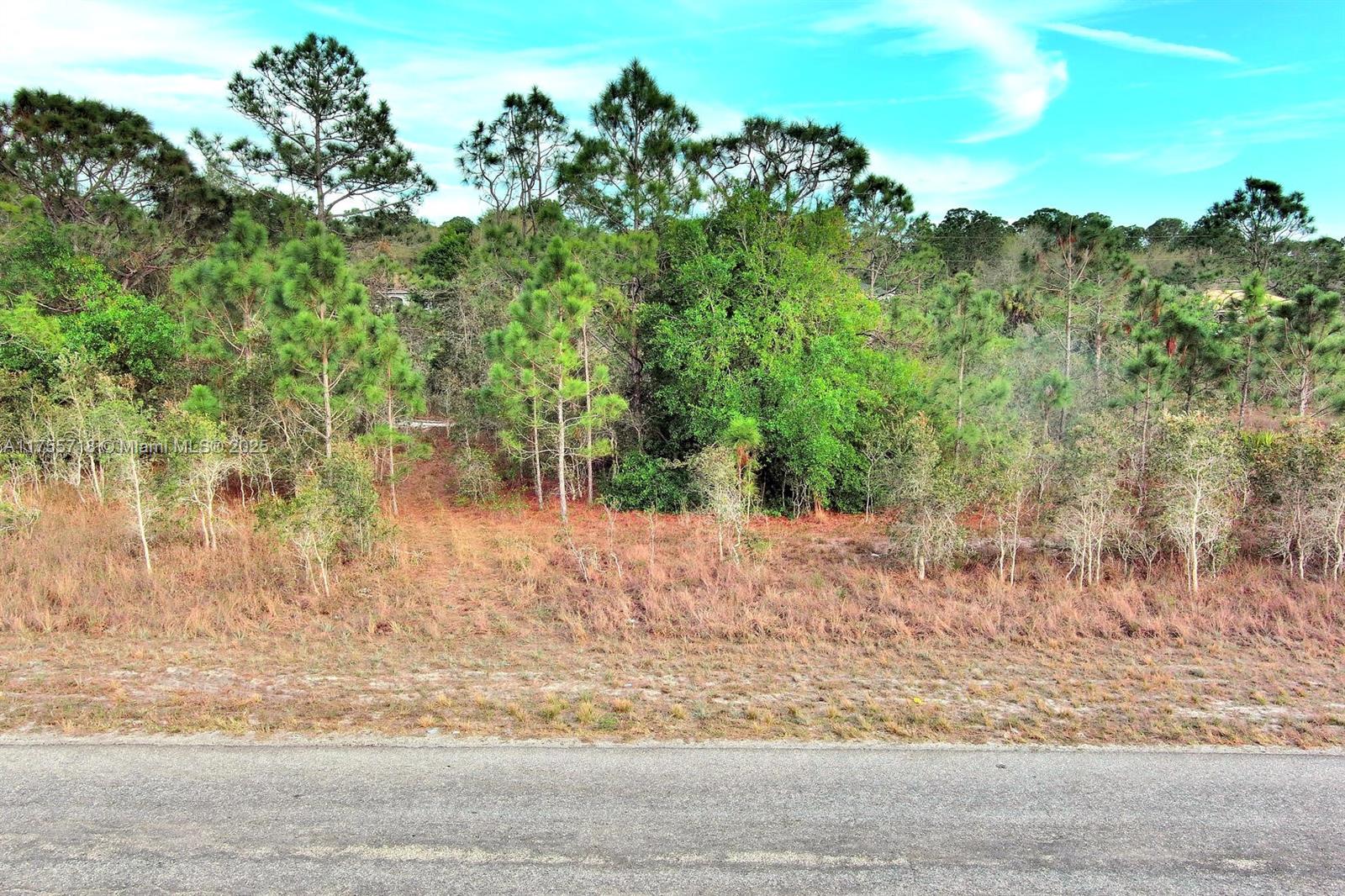 A vacant, wooded lot sits behind a paved road under a blue sky — 565 Summit Ave S, Lehigh Acres FL 33974, LEHIGH ACRES, FL