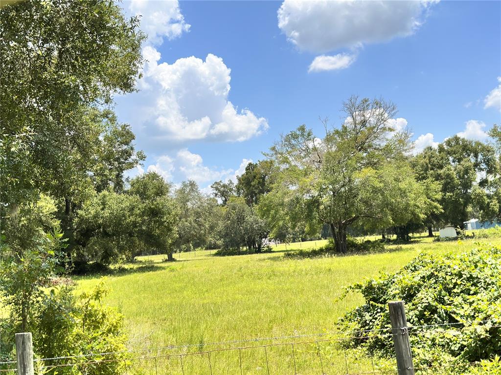 265 SW SKYLINE LOOP, FORT WHITE, FL — photo 2 of 30