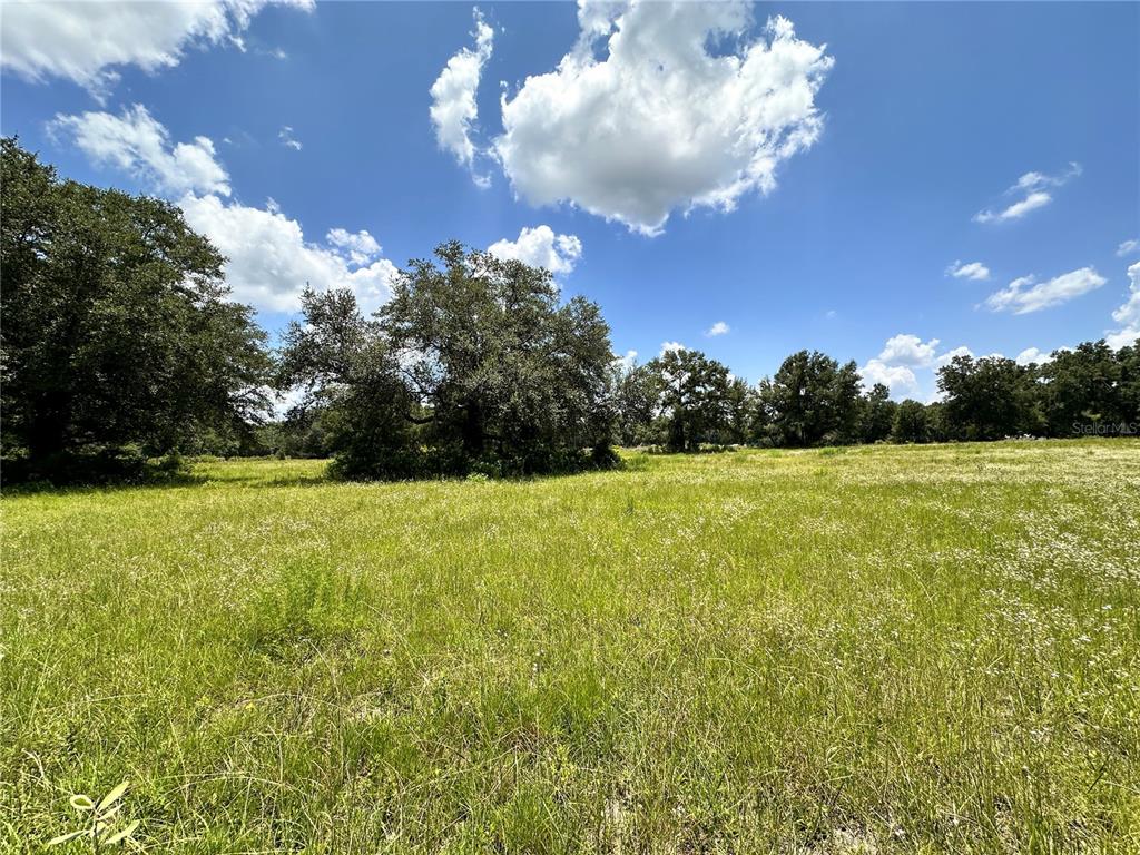 265 SW SKYLINE LOOP, FORT WHITE, FL — photo 3 of 30