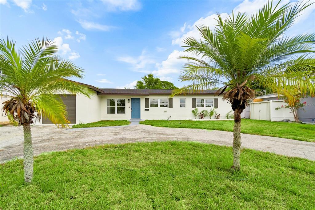 A single-story house with a blue front door and two palm trees in the yard — 6781 33RD AVENUE N, ST PETERSBURG, FL