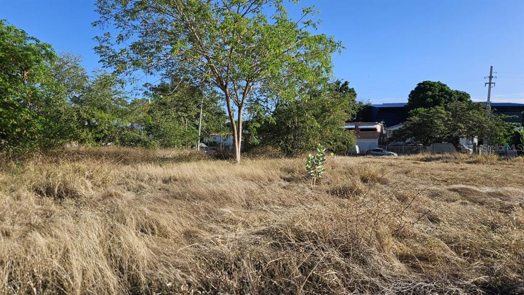 A large, grassy vacant lot features a single prominent tree under a clear blue sky — PR163 int. LAS AMERICAS AVE., PONCE, PR