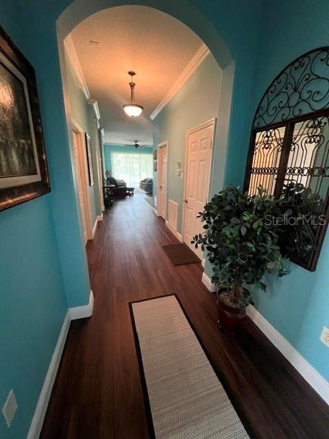 A hallway with turquoise walls, dark wood flooring, and an arched entryway leads to a room — 3000 PINNACLE COURT, CLERMONT, FL