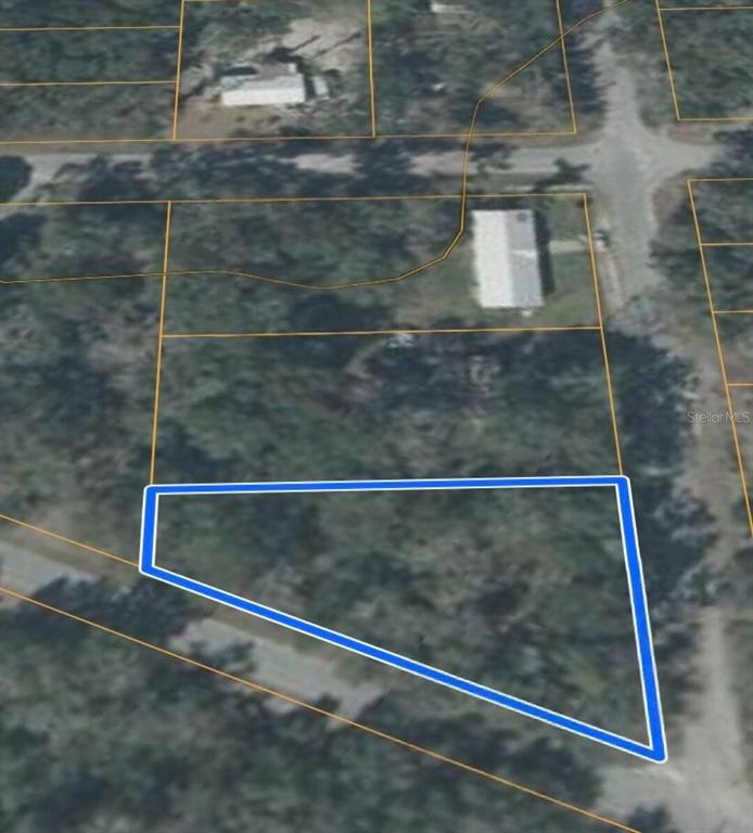 This is an aerial map showing a vacant, wooded lot outlined in blue — NW 165TH STREET, TRENTON, FL