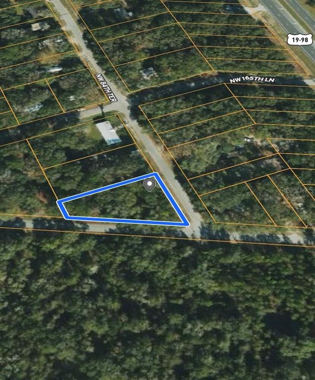 This is an aerial map showing a vacant, triangular-shaped lot outlined in blue — NW 165TH STREET, TRENTON, FL
