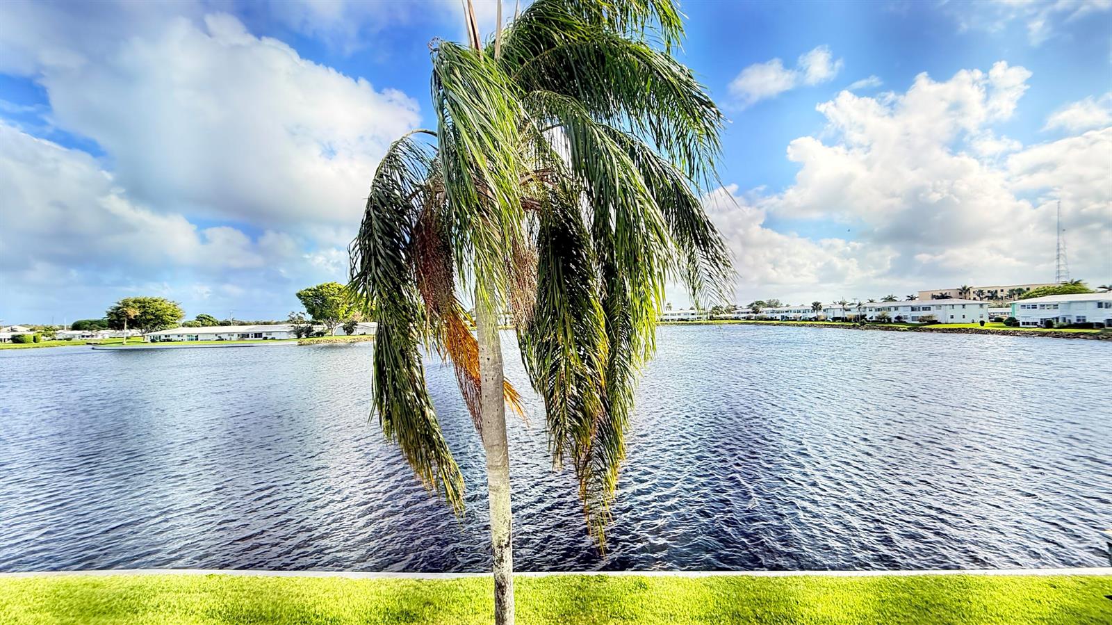 A palm tree stands in the foreground overlooking a lake with residential buildings in the distance — 1114 Lake Terrace # 205, Boynton Beach FL 33426, BOYNTON BEACH, FL