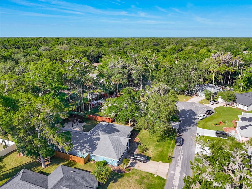 An aerial view shows a single-story house with a gray roof and a paved driveway — 27 BLACK HAWK PLACE, PALM COAST, FL