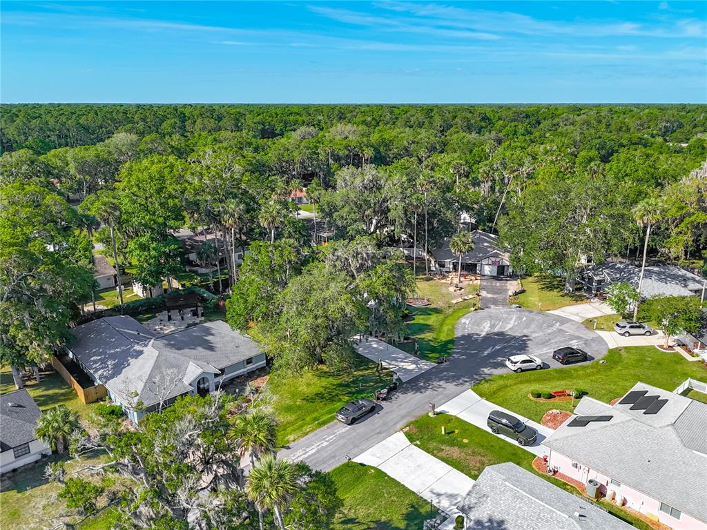 An aerial view shows several suburban houses surrounded by dense trees and a paved cul-de-sac — 27 BLACK HAWK PLACE, PALM COAST, FL