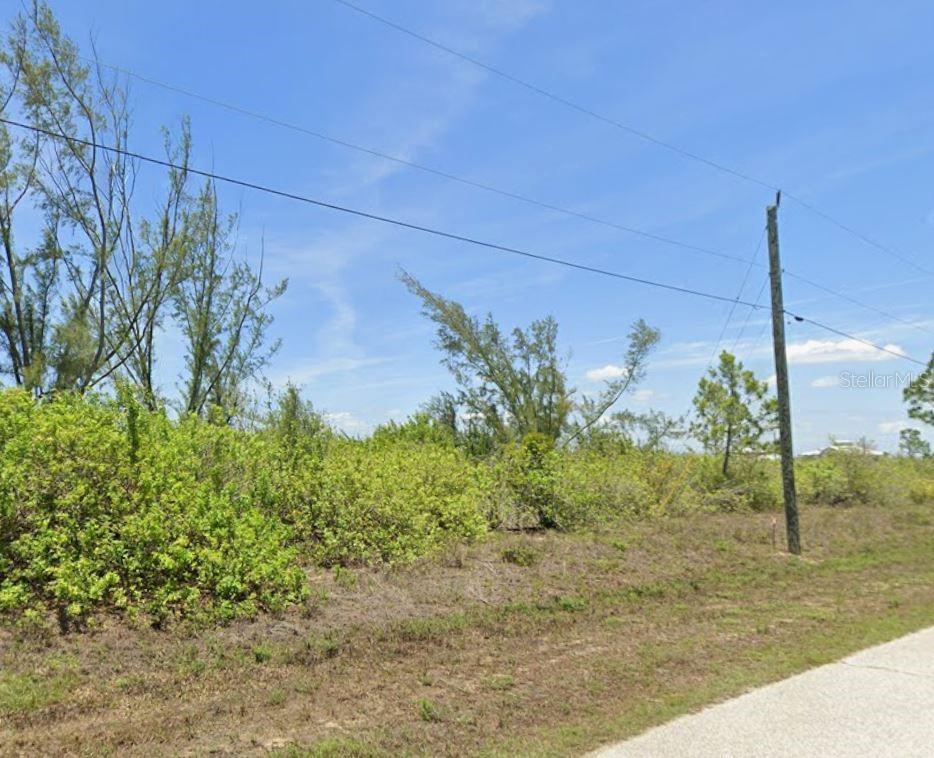 A vacant, overgrown lot with scattered trees and a utility pole under a blue sky — 10751 HATCHETT CIRCLE, PORT CHARLOTTE, FL