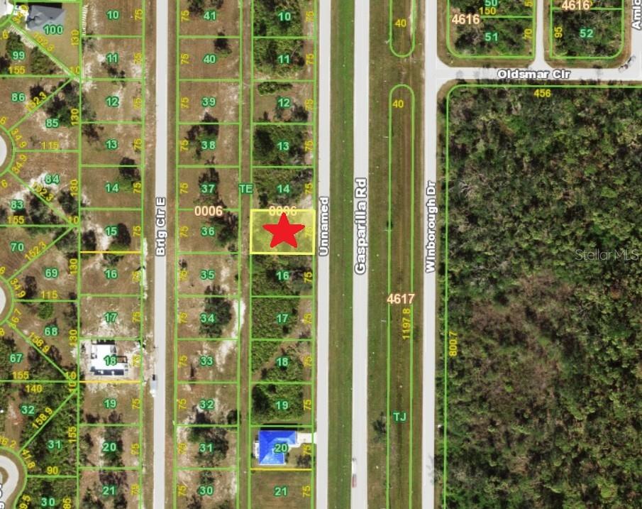 A vacant, grassy lot with scattered trees and shrubs sits beside a paved road — 10217 GASPARILLA ROAD, PLACIDA, FL