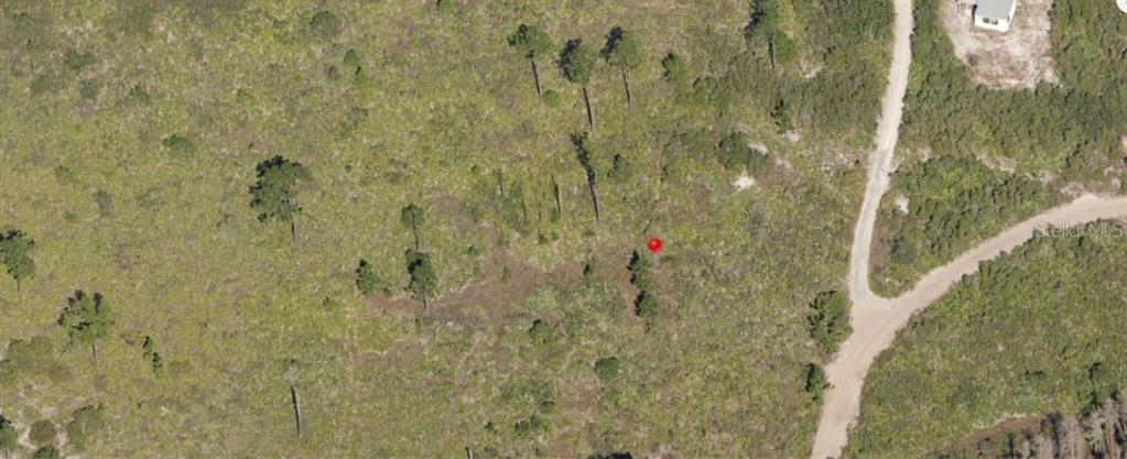 An aerial view shows a vacant, wooded lot with a dirt road and a red marker — HOLOPAW GROVES ROAD, ST CLOUD, FL