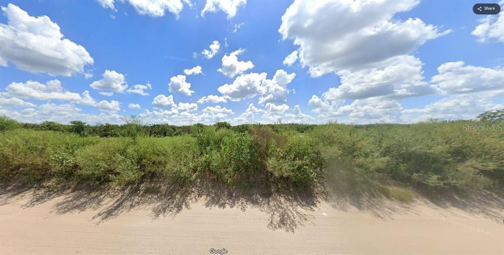 A dirt road runs in front of a vacant, overgrown lot under a cloudy sky — HOLOPAW GROVES ROAD, ST CLOUD, FL