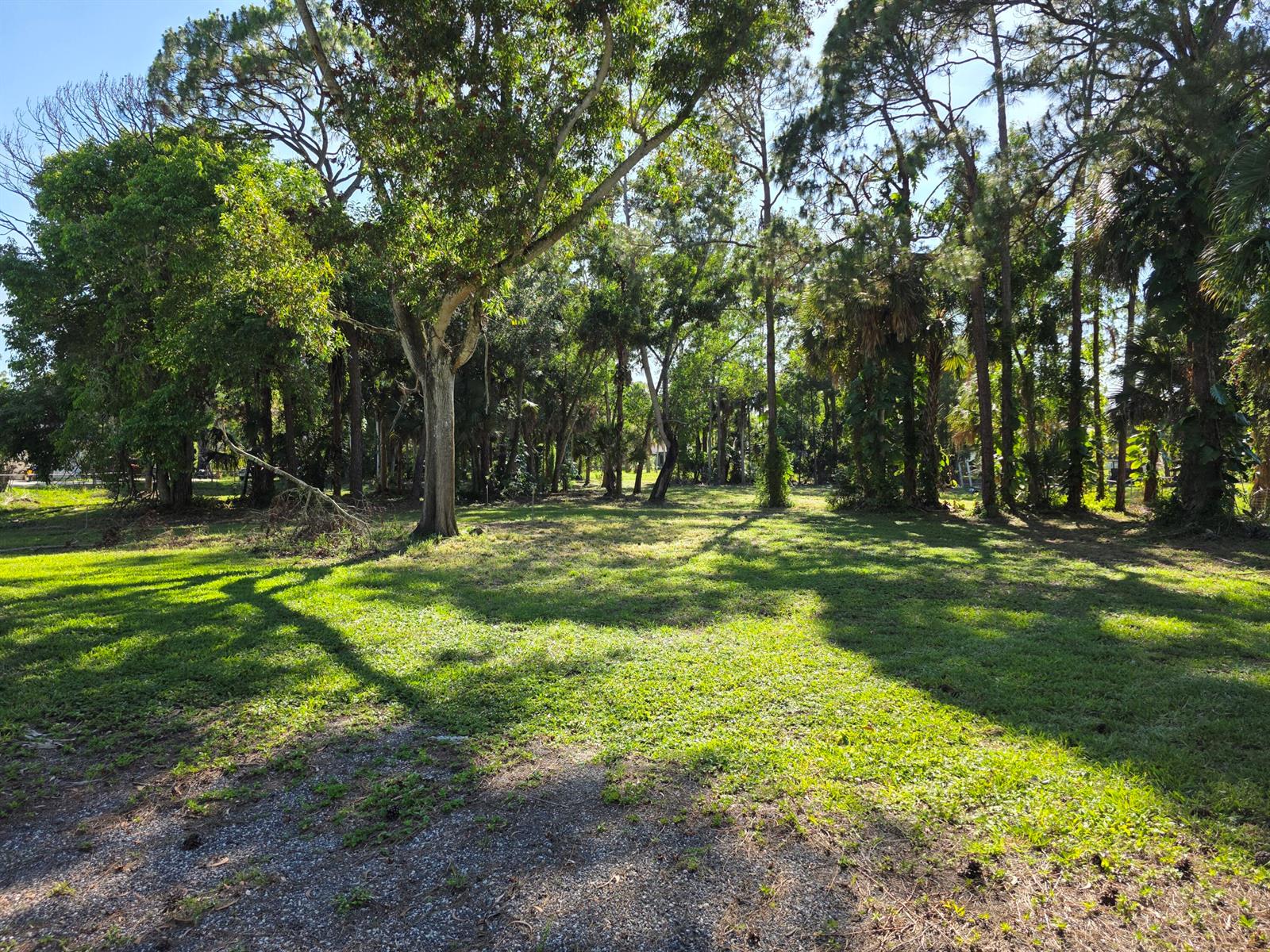 A grassy, sunlit lot is surrounded by mature trees and dense vegetation — 4753 123rd Trail N, FL 33411, FL