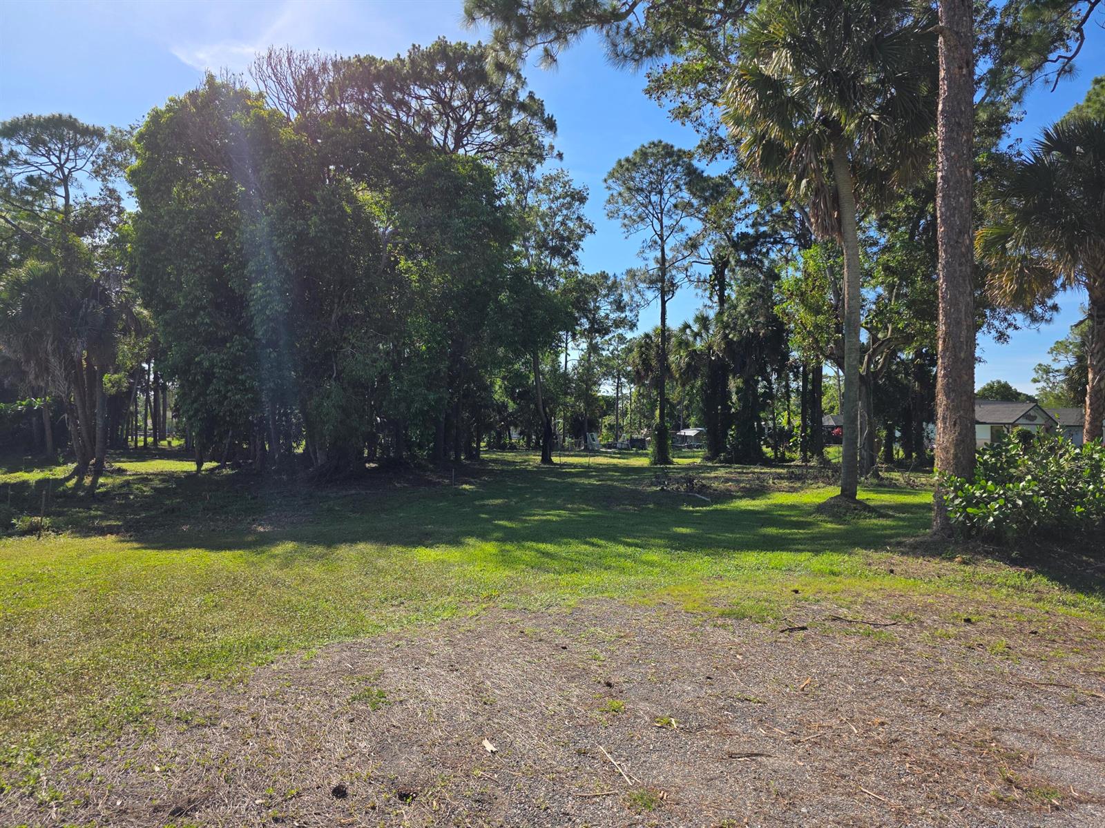 A grassy, partially wooded vacant lot features several tall pine and palm trees — 4753 123rd Trail N, FL 33411, FL