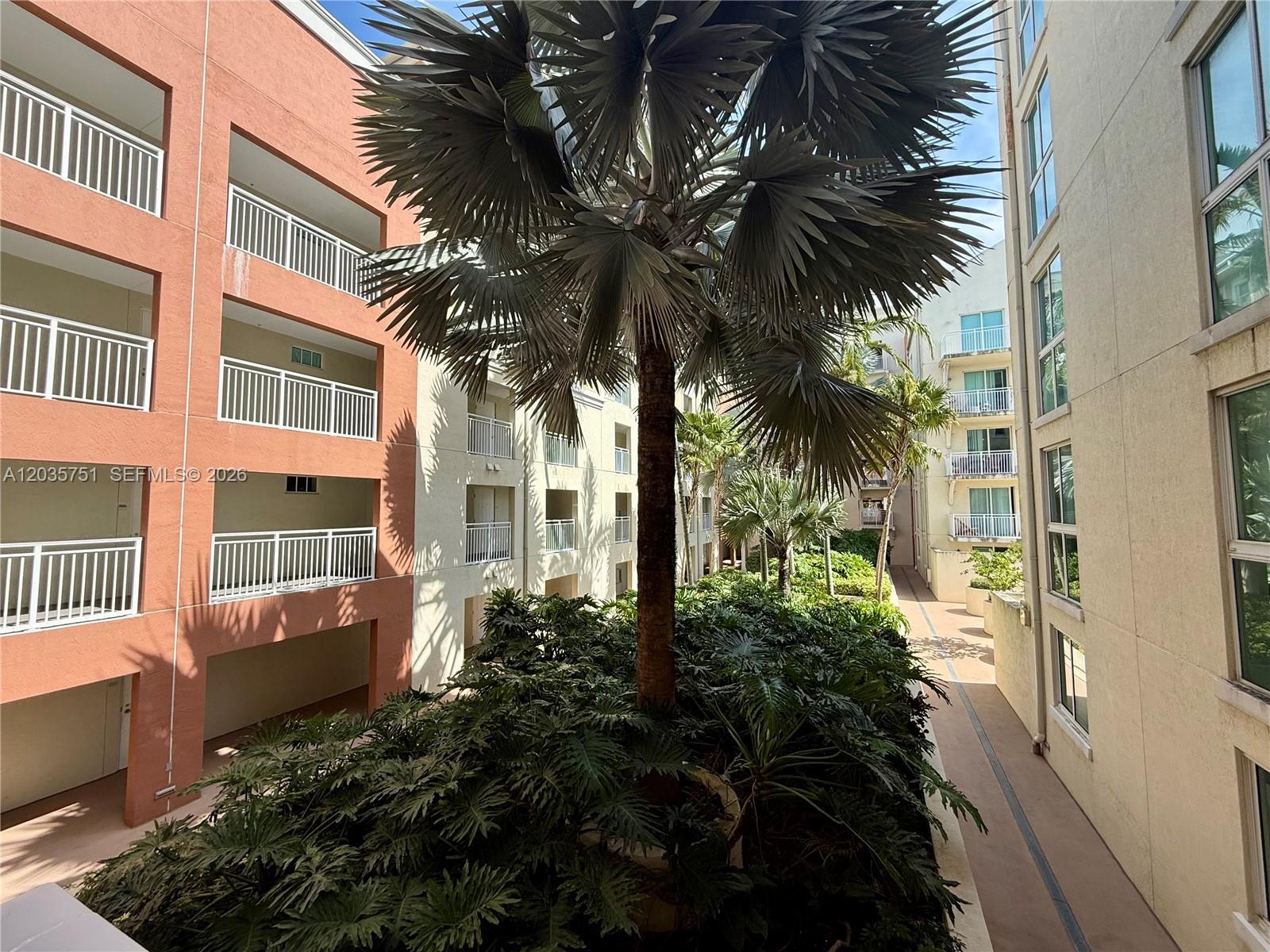 An outdoor courtyard features a large palm tree, lush greenery, and surrounding multi-story apartment buildings — 7275 SW 90th St # C313, Miami FL 33156, MIAMI, FL