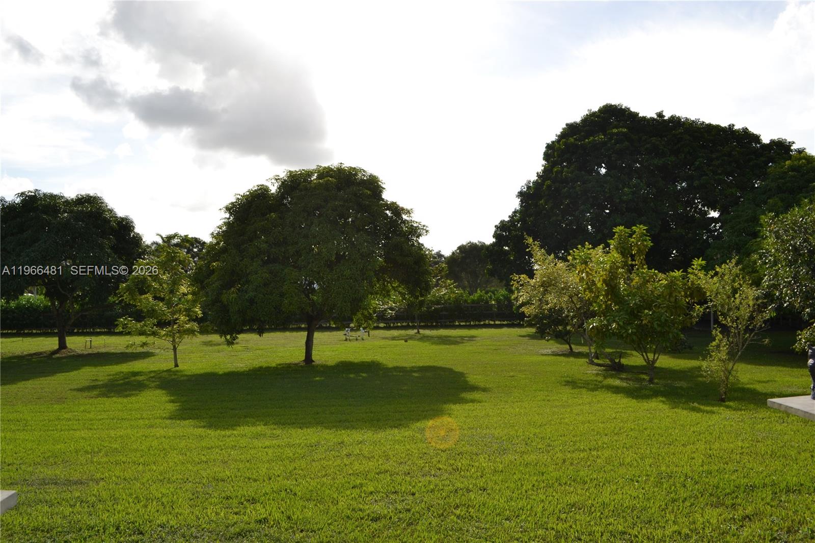 A grassy backyard features several mature trees under a bright, partly cloudy sky — 5425 SW 190th Ave # 1, Southwest Ranches FL 33332, SOUTHWEST RANCHES, FL