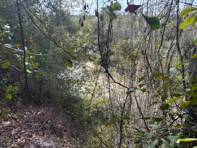 0 County Rd 54, FL 33849, FL — photo 2 of 3