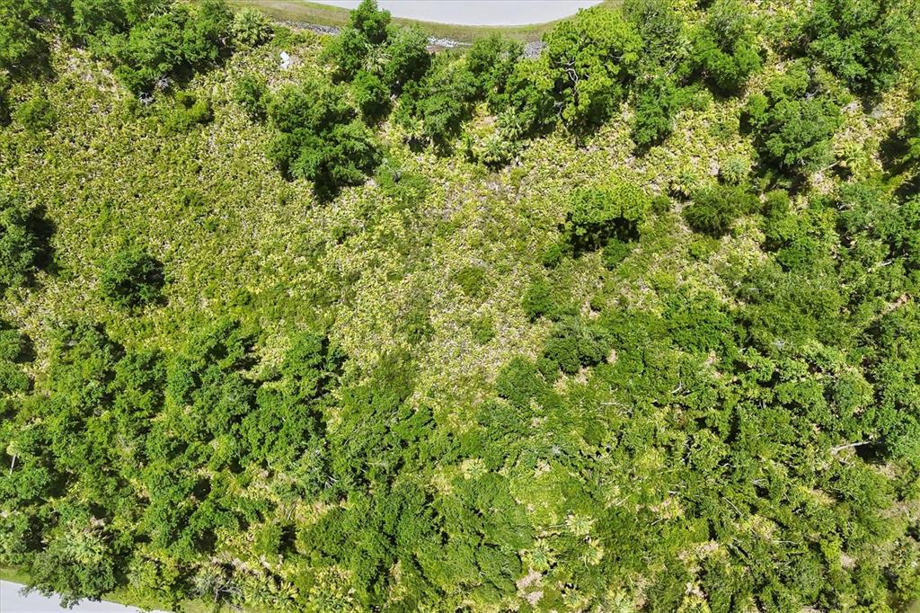 An aerial view shows a densely wooded plot of land bordering a paved road — 1553  & 1561 FRISCO TERRACE, PORT CHARLOTTE, FL