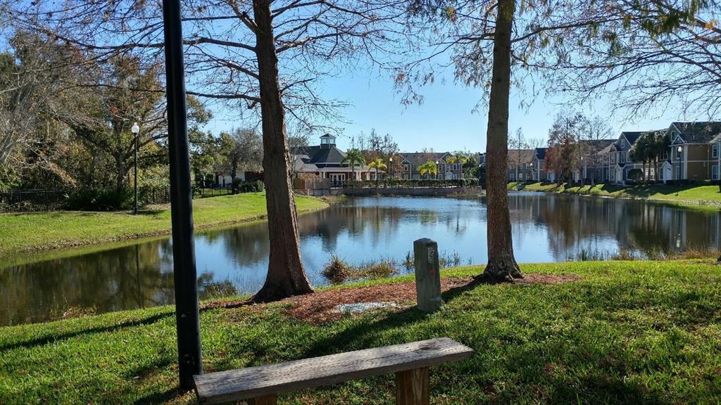 A wooden bench sits on a grassy lawn overlooking a pond and apartment buildings — 5591 ROSEHILL ROAD UNIT 104, SARASOTA, FL