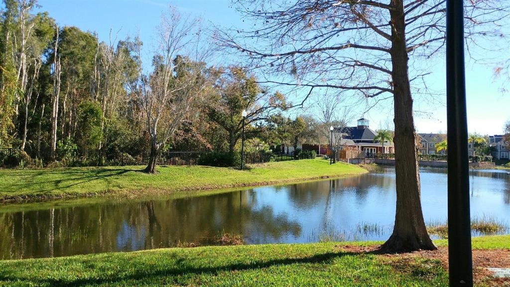 A view of a pond surrounded by green grass, trees, and residential buildings — 5591 ROSEHILL ROAD UNIT 104, SARASOTA, FL
