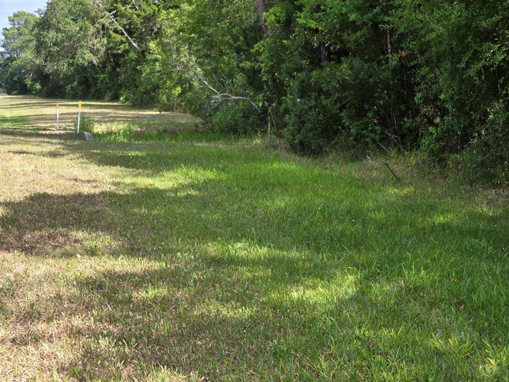 1925 CR-13, BUNNELL, FL — photo 5 of 8