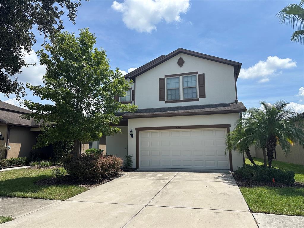 6314 YELLOW BUCKEYE DRIVE