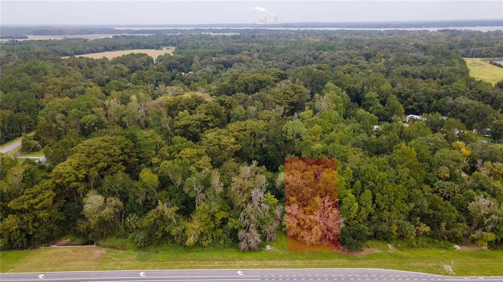 An aerial view shows a wooded lot highlighted in red bordering a paved road — 421 STATE ROAD 207 ROAD, EAST PALATKA, FL