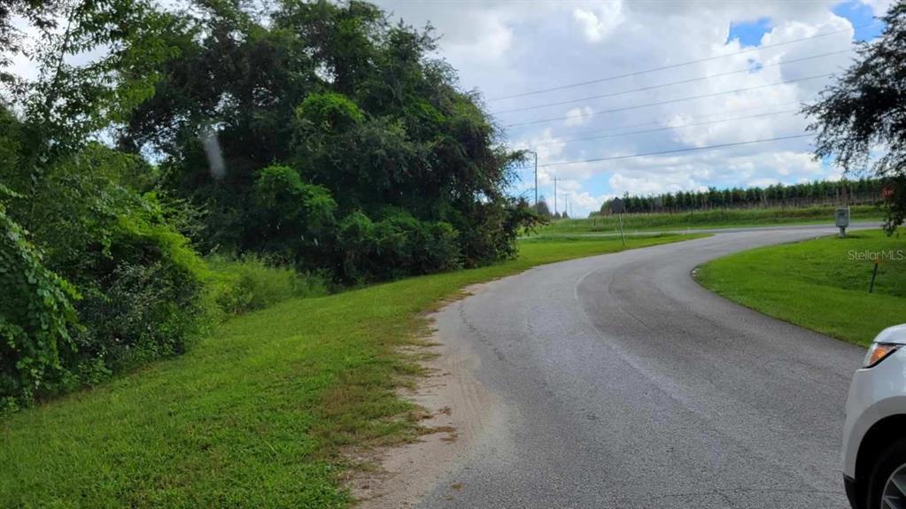 A paved road curves past a grassy shoulder and dense trees under a cloudy sky — 6641 WYNN LANE, GROVELAND, FL