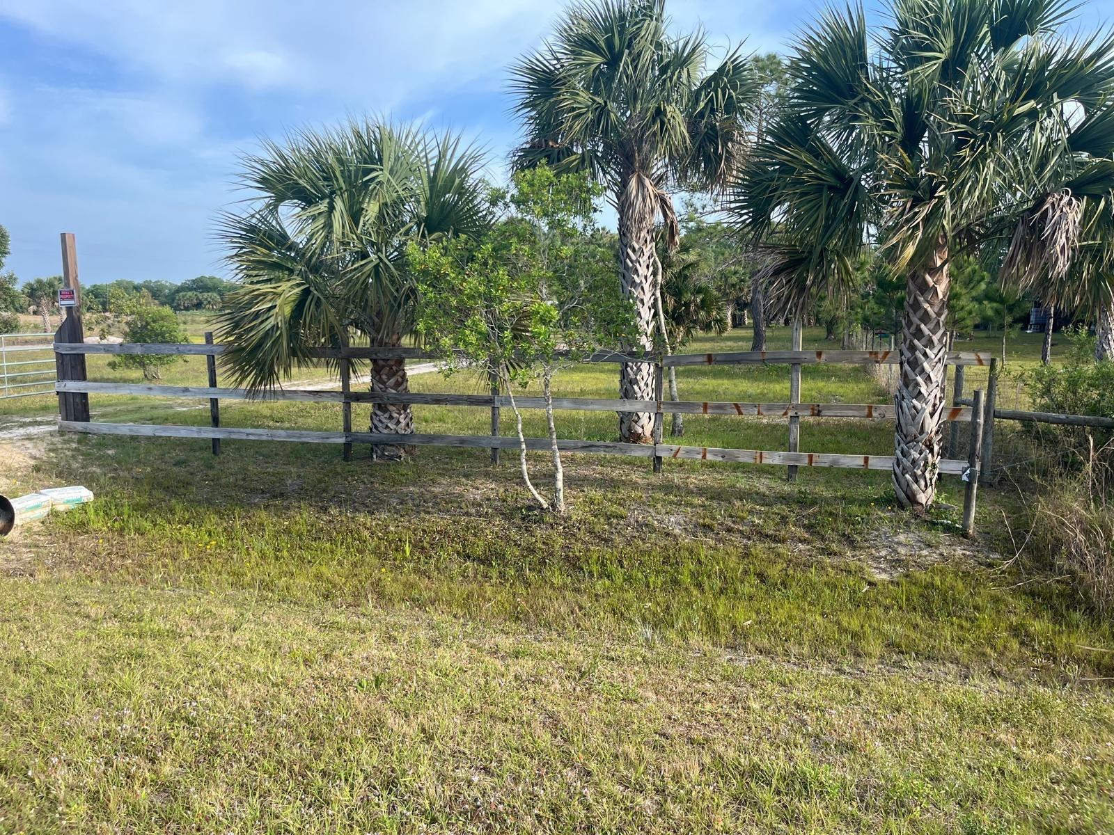 A wooden fence runs across a grassy lot featuring three palm trees and a small tree — 15148 NW 288th Street, Okeechobee FL 34972, OKEECHOBEE, FL