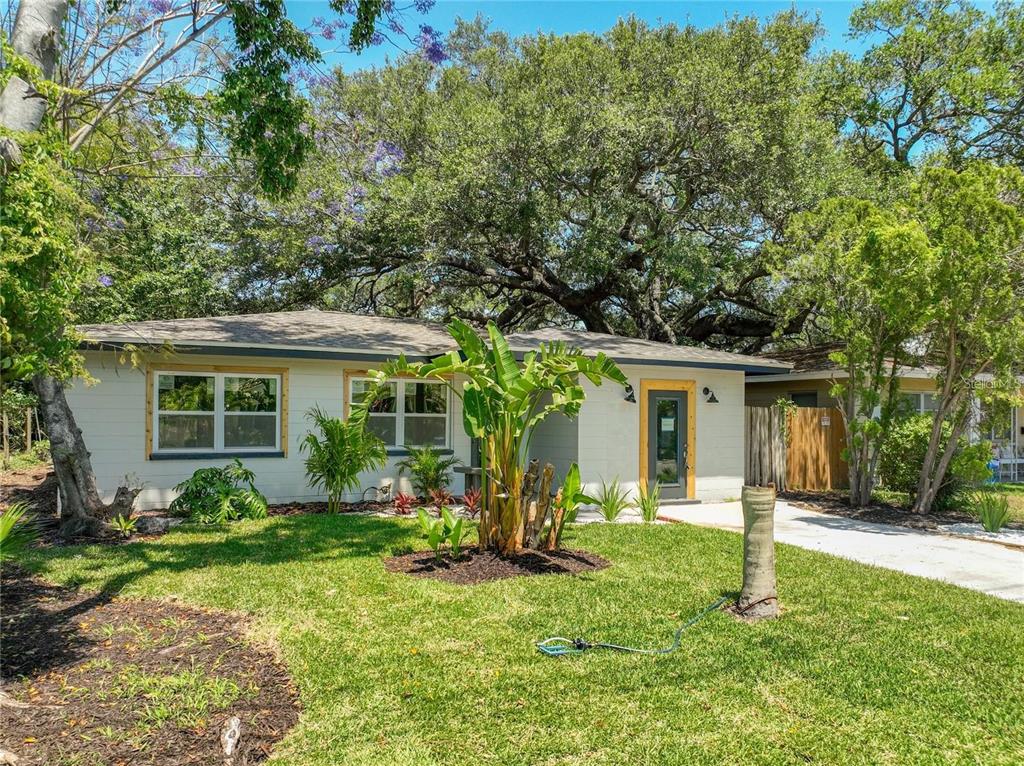 A single-story house with white siding, wood-trimmed windows, and a large tree in the yard — 4629 26TH AVENUE S, ST PETERSBURG, FL
