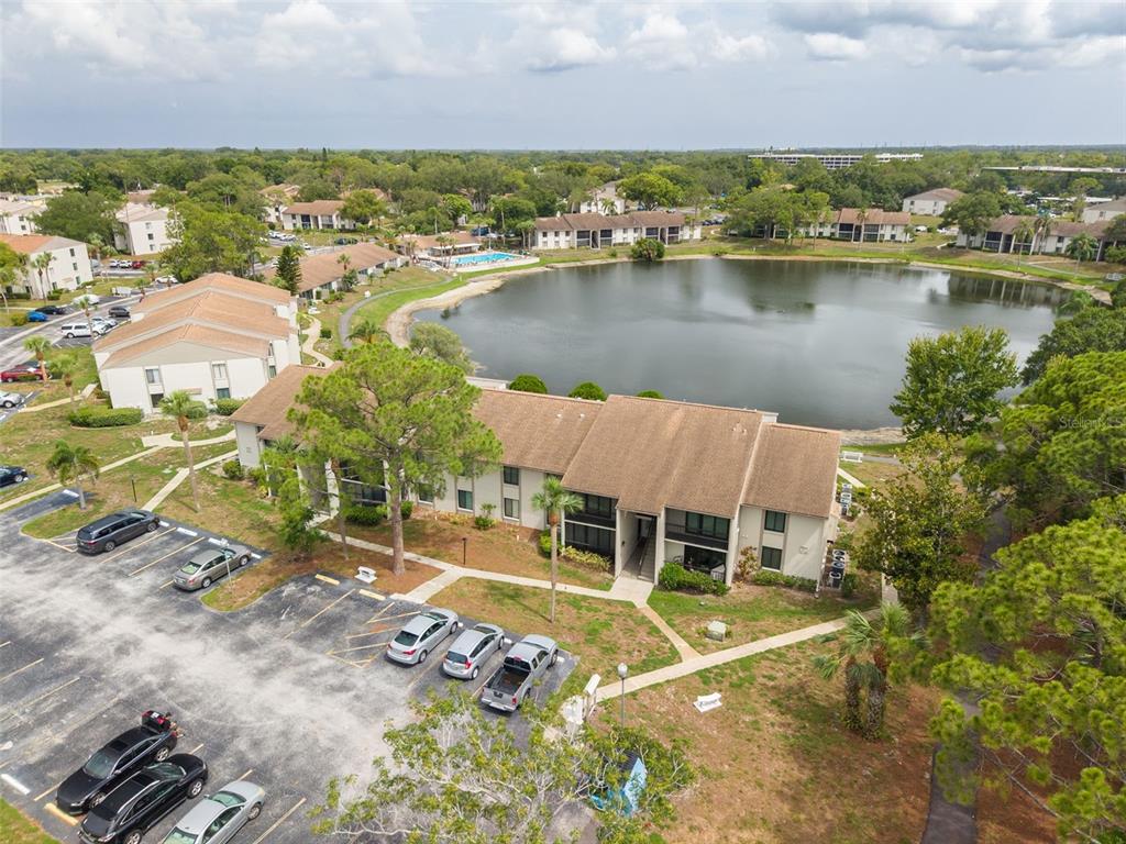 An aerial view shows a multi-story apartment building situated next to a lake — 1882 PINE RIDGE WAY W UNIT C2, PALM HARBOR, FL