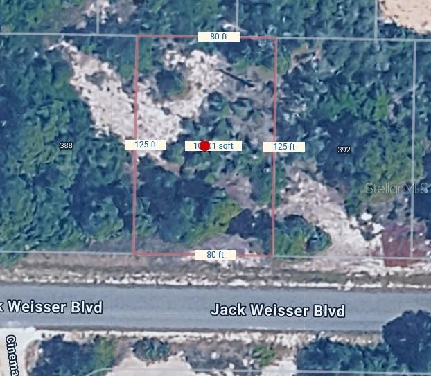 An aerial map view shows a rectangular vacant lot measuring 80 by 125 feet — 390 JACK WEISSER BOULEVARD, LAKE PLACID, FL