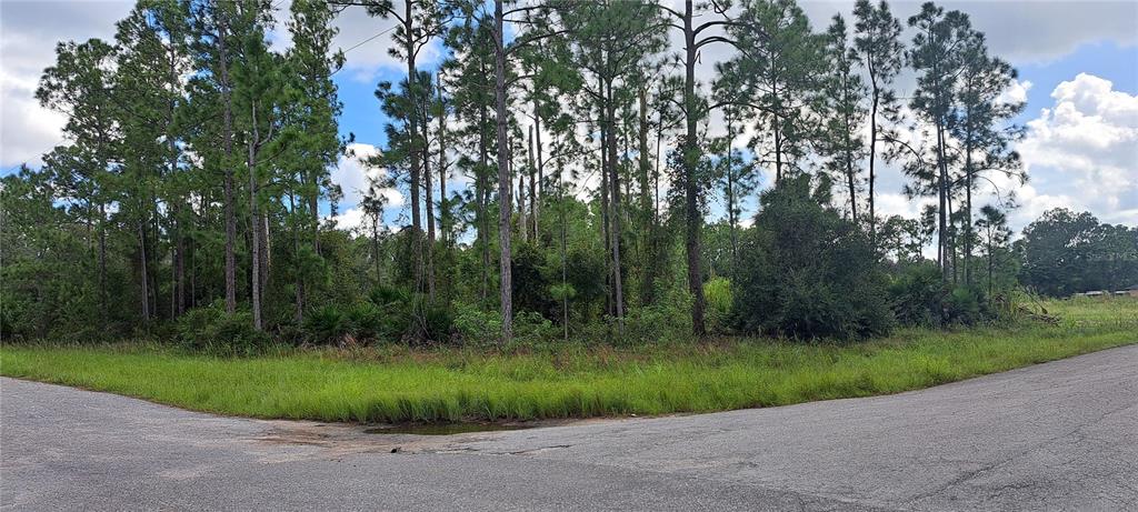 A corner lot with tall pine trees and dense vegetation borders two paved residential streets — 3800 E 13TH STREET, LEHIGH ACRES, FL
