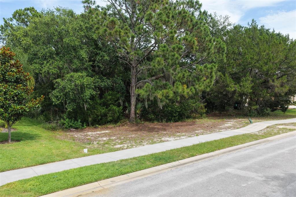 A vacant, wooded residential lot sits beside a paved sidewalk and street — 18 N LAKEWALK DRIVE, PALM COAST, FL