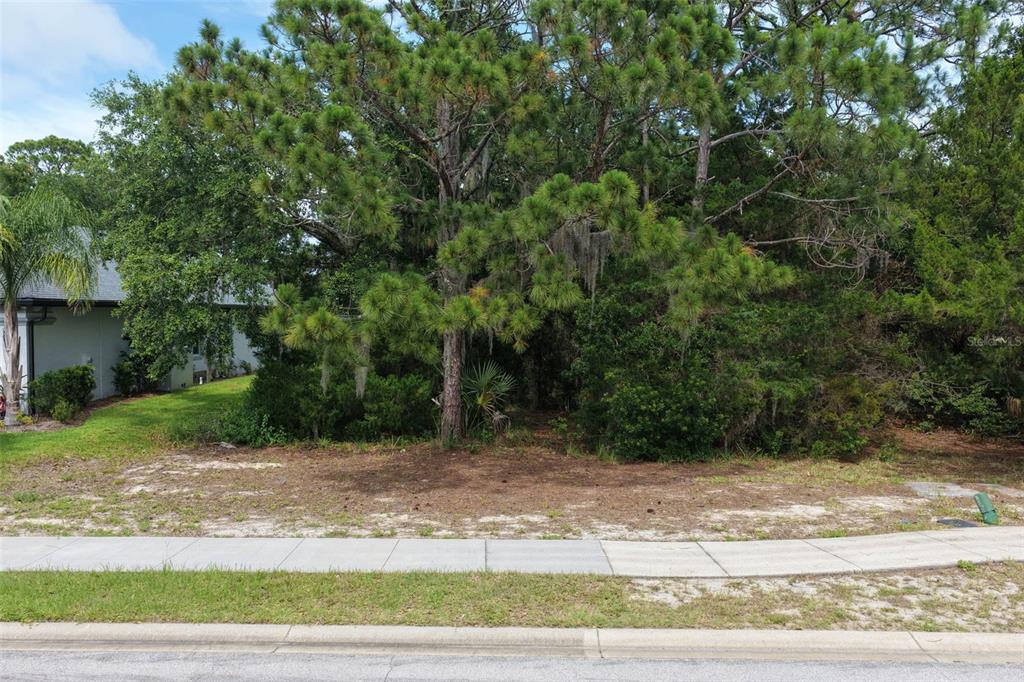 A vacant, tree-covered residential lot sits behind a sidewalk and street — 18 N LAKEWALK DRIVE, PALM COAST, FL