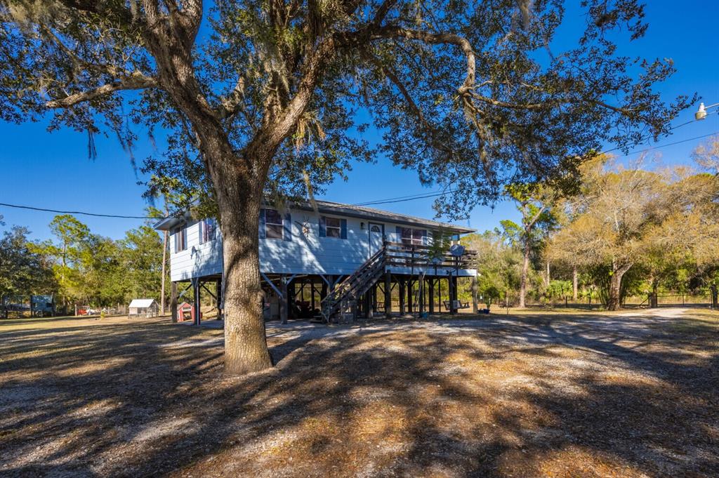 A light blue stilt house stands among large trees in a grassy, sunlit yard — 2207 SW BLOSSOM AVENUE, ARCADIA, FL